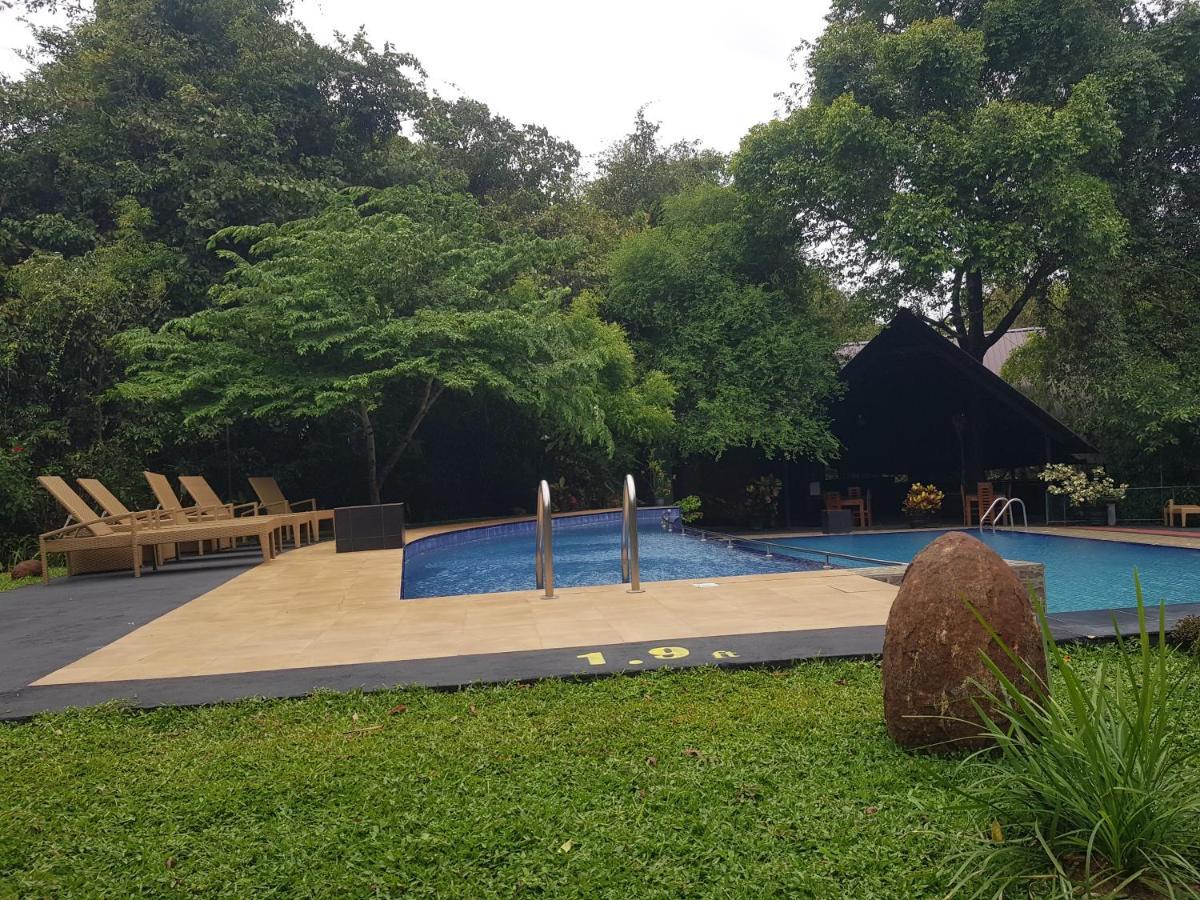 דמבולה Nice Place Resort מראה חיצוני תמונה